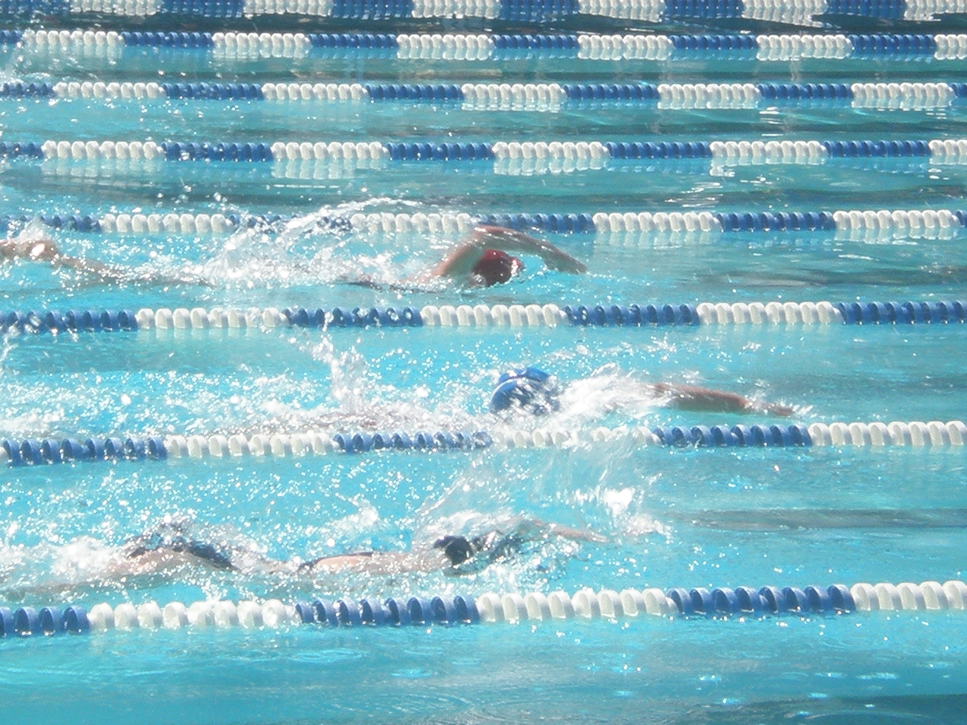 OLYMPUS DIGITAL CAMERA